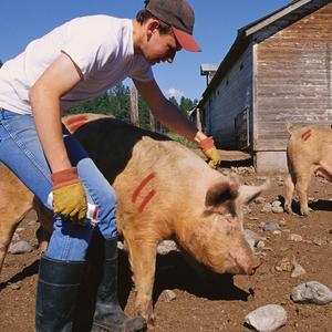 pics/Allweather/Twist Stik Livestock mark/all-weather-twist-stik-non-toxic-livestock-marker-1.jpg